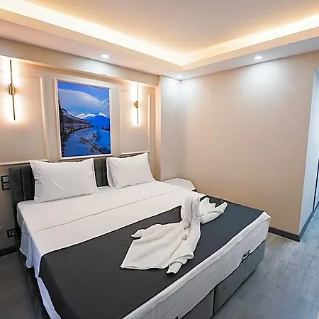 Grand Oezer 酒店 伊斯坦布尔